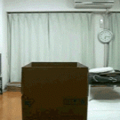 Maru jumps out of the box