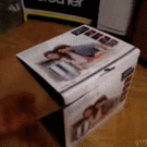 Super-fast cat-in-a-box