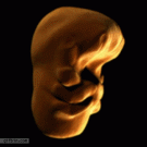 BBC One - Human face development in the womb - 1 to 3 months