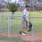 Dog hits barrel after jumping over fence