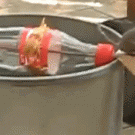 Coke bottle mouse trap