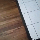 Jerk cat vs. broken kitchen tile
