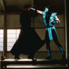 Matrix Mortal Kombat