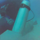Goliath grouper bites off scuba diver's fins