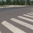 Dog crosses the street