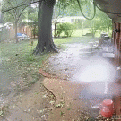 Falling tree branch almost hits man