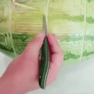 Cool watermelon carving