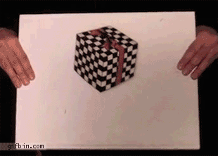 https://www.gifbin.com/bin/102010/1288178252_floating-cube-illusion.gif