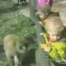 Monkey snatches snack from kid