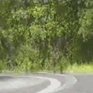 Biker hits car mirror