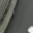 Huge wave surprises jogger