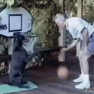 Dog plays basketball