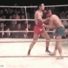 Knee-to-the-face KO