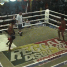 Fighter falls out of the ring