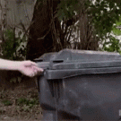 Ninja squirrel jumps out of garbage bin
