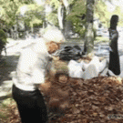 Granddad drops kid in leaf pile