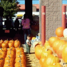 Kid vs big pumpkin