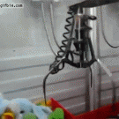 Cat inside claw crane toy machine