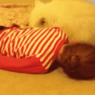 Girl cuddling with dog