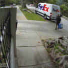 FedEx guy throws computer monitor over the fence