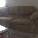 Dog couch jump fail