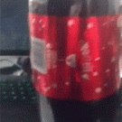 Coca-Cola Christmans botle bowtie