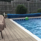 Kid misses pool