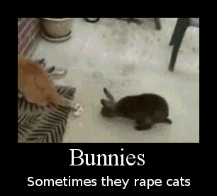 https://www.gifbin.com/bin/1237130994_motivational_rabbits.gif